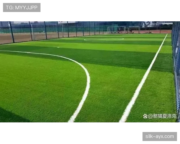 2026世界杯草坪标准规则有哪些 2026世界杯草坪标准规则有哪些